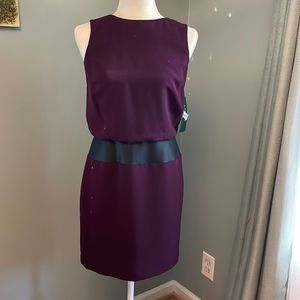 LAUREN Ralph Lauren Purple Sleeveless Dress 4P. NWT